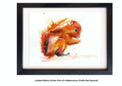Fluffy Red Squirrel