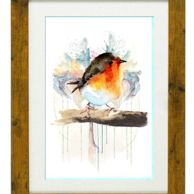 Erithacus Rebecular Robin