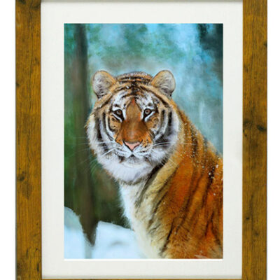 Felice Tigris - Framed